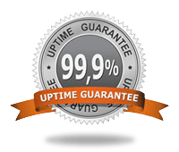 99.9% Uptime Network Guarantee